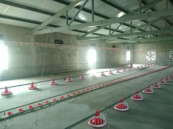 肉雞自動化養(yǎng)殖設(shè)備